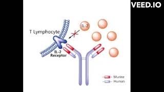 Basiliximab mode of action [upl. by Eniarrol910]