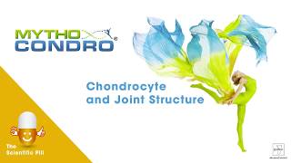 Chondroitin Sulfate and Joint  The Mythocondro® Scientific Pill [upl. by Tinor]