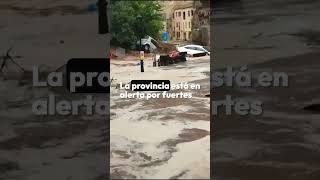 ¡Desastre en Letur Cuatro Desaparecidos Tras la Devastadora Riada 🌊  Rescate en Albacete noticias [upl. by Ailin629]