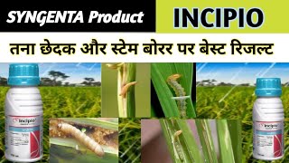 SYNGENTA INCIPIO insecticide  Best insecticid  इंसिपियो  तना छेदक और स्टेम बोरर पर बेस्ट कंट्रोल [upl. by Yenffit]