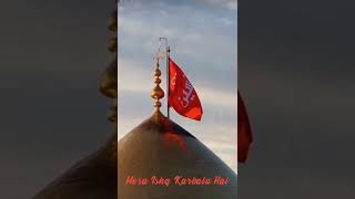 Mera Ishq Karbala hai🥰❤️🥺  Hayhat Minna Zilla karbala ytshorts yahussain trending tanvi1786 [upl. by Orvas504]