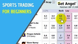 Betfair trading  Sports Trading for Beginners [upl. by Anaitsirc]