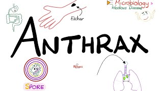 Anthrax  Causes Symptoms Diagnosis Treatment  Bacillus anthracis  Microbiology 🧫 [upl. by Nollahp]