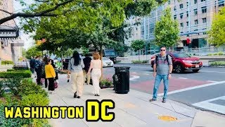 Washington DC 2024 The Best Capital City in the World in 4K [upl. by Hahnke]