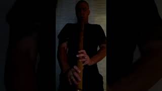 Shakuhachi meditacion [upl. by Sonitnatsok]