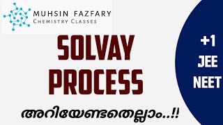 Solvay process  PREPERATION OF SODIUM CARBONATEWASHING SODA  Plus one  JEE  NEET  MALAYALAM [upl. by Charo]