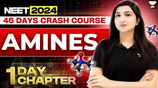 1 Day 1 Chapter Amines  45 Days Crash Course  NEET 2024  Akansha Karnwal [upl. by Aital714]