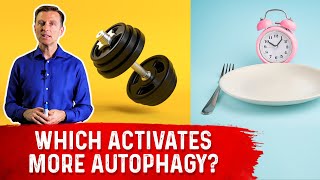 Autophagy Exercise vs Fasting [upl. by Nois]