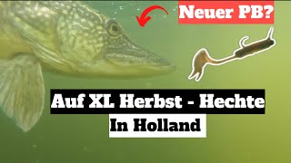 Auf XL Hechte in Holland  Herbstzeit heißt Hechtzeit [upl. by Henrie211]