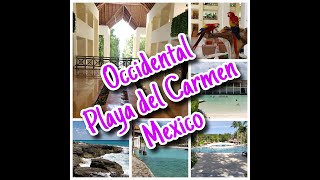 Occidental at Xcaret resort ALL inclusive [upl. by Ylyl]