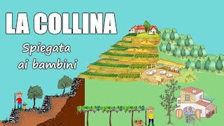 La COLLINA formazione terrazzamenti e attività svolte dalluomo 👨‍🌾 Geografia Scuola Primaria [upl. by Sinnylg]