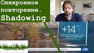 Синхронное повторение Shadowing [upl. by Aitsirt]