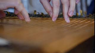 Playing the ethnic zither instrument Free HD video footage [upl. by Nnyluqcaj]