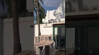 THB Flora hotel in lanzarote 2022 [upl. by Whitson620]