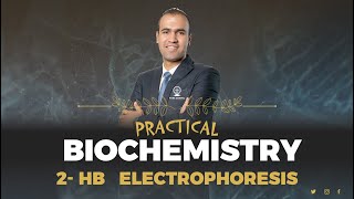 Hb Electrophoresis I Practical Biochemistry I Haeme Module 2024 [upl. by Adrahs932]