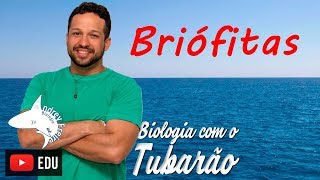 Briófitas  Botânica  Biologia com o Tubarão [upl. by Orthman]