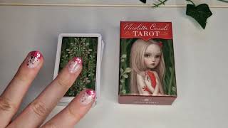 Nicoletta Chiccoli Tarot Mini version flip through [upl. by Ziguard543]