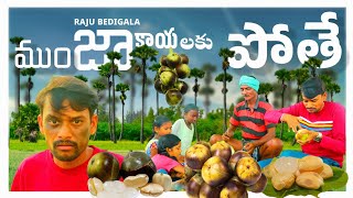 RAJU BEDIGALA రాజు ముంజకాయలకు పోతే  ULTIMATE VILLAGE COMEDY  RAJU BEDIGALA [upl. by Jessee97]