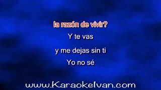 Grupo Bryndis  Vas A Sufrir KARAOKE [upl. by Anival734]