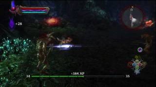 Kingdoms of Amalur Random L00T Hunt Part 1 [upl. by Latsryc]