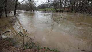 Calfkiller River at flood stage Blue Spring Road White County Tennessee [upl. by Barbi311]