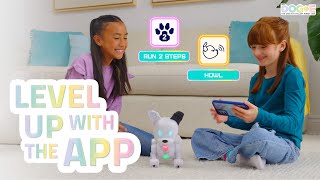 DogE’s PAWSOME App  DogE HowTo 4 The App [upl. by Gnuhn8]