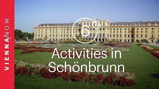 6 fun activities in and around Schönbrunn Palace [upl. by Hourigan]