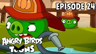 Angry Birds Toons  Hog Roast  S1 Ep24 [upl. by Innek]