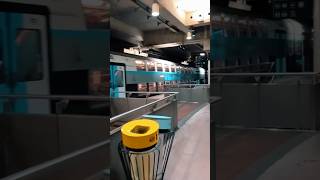 Metros in paris are trains travel paris paris2024 youtubeshorts [upl. by Ithnan]