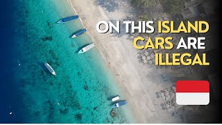 ON THIS ISLAND CARS ARE ILLEGAL  GILI TRAWANGAN VLOG [upl. by Gerty]