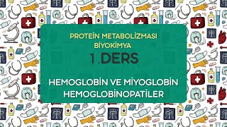 Protein Metabolizması Biyokimya 1Ders  2021 [upl. by Gerlac]