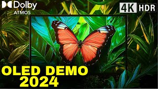 2024 OLED DEMO Dolby Atmos Breakthrough in NextGen TV Technology [upl. by Klapp498]