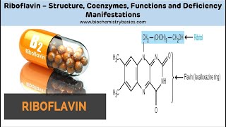 Riboflavin  Vitamin B2  Riboflavin Biochemistry  Vitamin B2 Biochemistry [upl. by Stanley]