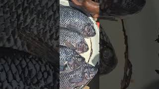 24 Hours LEFT to Try The BEST FRESH Catch From The LAKE Challenge food cooking shorts viralvideo [upl. by Buseck]