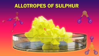 Allotropes amp Reactions of Sulphur  P Block Elements  Chemistry Telugu  Class 12  Ncert [upl. by Nossah]