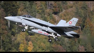 AXALP Hornets in Meiringen Switzerland [upl. by Aicirtel]