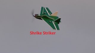 Shrike Striker [upl. by Glarum]