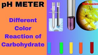 pH measurement by PH Meter amp Color reactions of Carbohydrates  Biochemistry Practical Exam [upl. by Oicnecserc943]