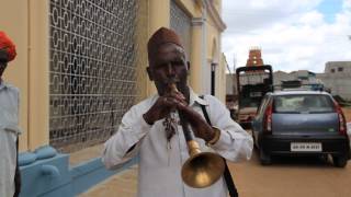 Shehnai Indian Music at Mysore dasara 2013 [upl. by Hayman292]