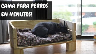 CAMA PARA PERROS CON PALETS   Empo  EP36 [upl. by Stelu]