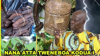 Exclusive interview with Nana Atta Tweneboa Kodua on Spiritual Herbs for Healings  SuroWiase [upl. by Lawley]