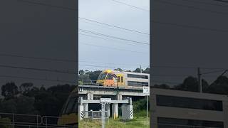 3 Waratahs At Casula Parklands Bridge train nswtrains publictransport railway nswtrainlink [upl. by Annehs301]