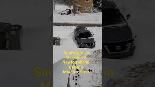 Snowstorm in Marystown NL Canada fypシ everyone fypviral fypviral fypp fypage fyp fypシ゚ [upl. by Yrian43]