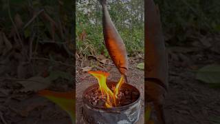 Single mom show SMART idea for survival in forest camping outdoor bushcraft lifehacks [upl. by Eirol]