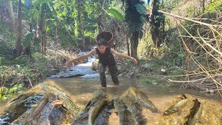 Vegetable Gardening  Skills to catch fish with bare hands to sell and buy vegetable seeds to plant [upl. by Yoreel461]