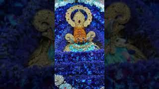 Syam janmotsav shyambabal love shyamba hindudeity [upl. by Garv965]