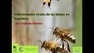 VIROSIS EN ABEJAS [upl. by Ameerahs270]