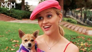 Legally Blonde 2001  Elle Introduces Herself Scene  MGM Studios [upl. by Florio499]