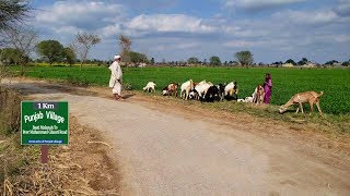 Saraiki Waseb Tour 2  Pakistani Punjab Village Life [upl. by Kcirnek]