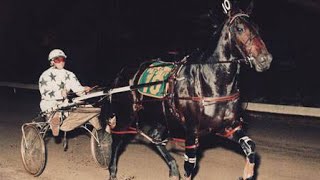 2024 Lucky Creed Open Pace 2680M Albion Park Australia  Nerano 1545 [upl. by Ott]